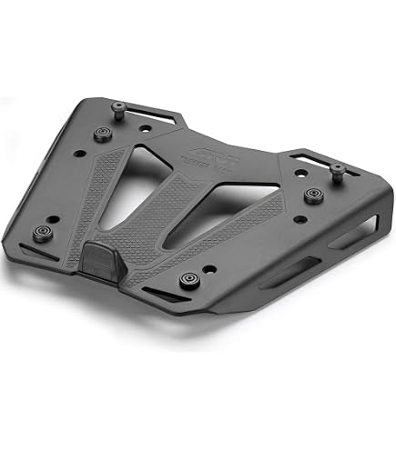 Amazon.com: GIVI 1111FZ Specific Monorack Arms for Topcase for